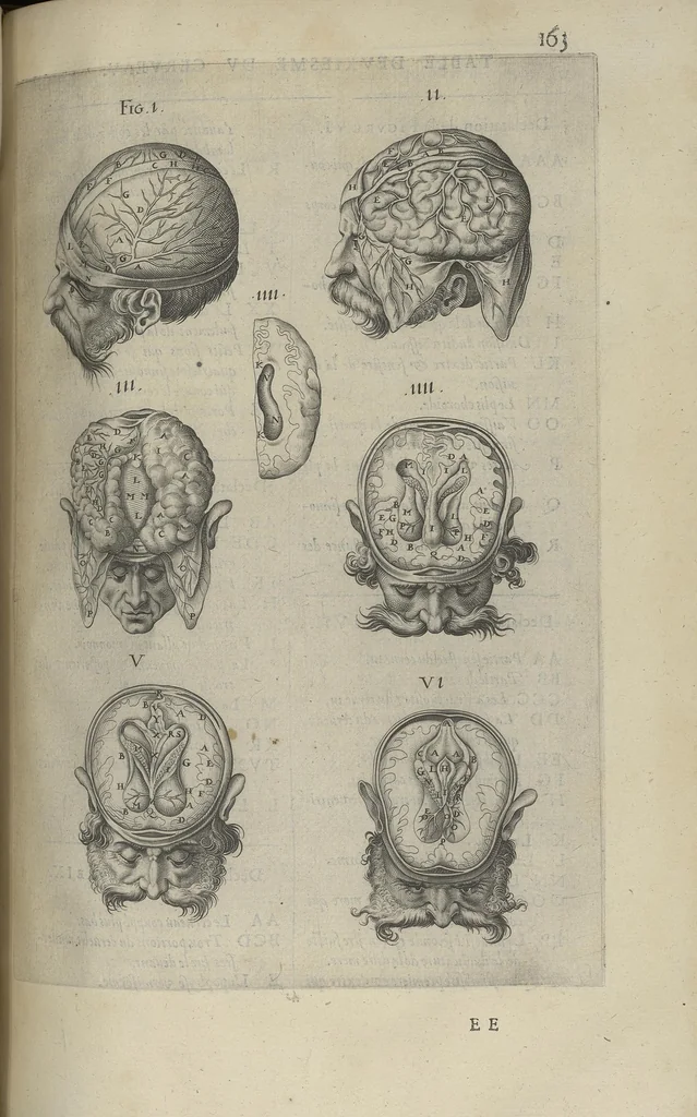 An illustration from Toutes les Oeuvres...trad. par Théophile Gelée, 1613, leaf 350