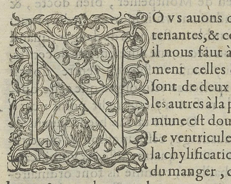 An illustration from Toutes les Oeuvres...trad. par Théophile Gelée, 1613, leaf 381