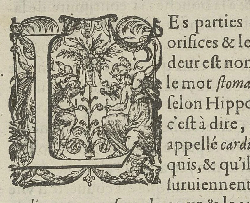An illustration from Toutes les Oeuvres...trad. par Théophile Gelée, 1613, leaf 401