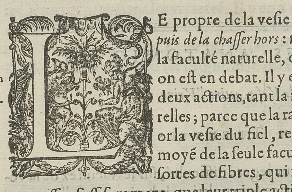 An illustration from Toutes les Oeuvres...trad. par Théophile Gelée, 1613, leaf 443