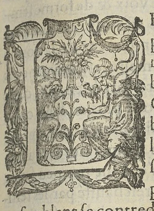 An illustration from Toutes les Oeuvres...trad. par Théophile Gelée, 1613, leaf 454