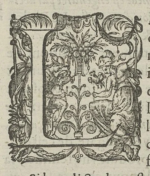 An illustration from Toutes les Oeuvres...trad. par Théophile Gelée, 1613, leaf 489