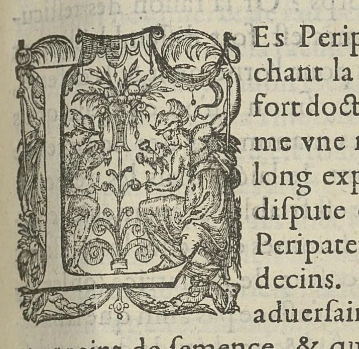 An illustration from Toutes les Oeuvres...trad. par Théophile Gelée, 1613, leaf 504