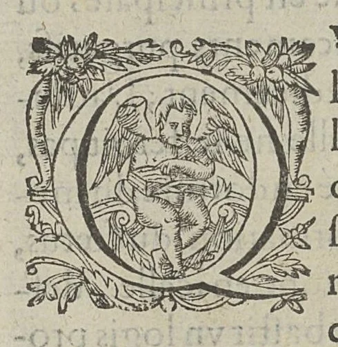 An illustration from Toutes les Oeuvres...trad. par Théophile Gelée, 1613, leaf 525