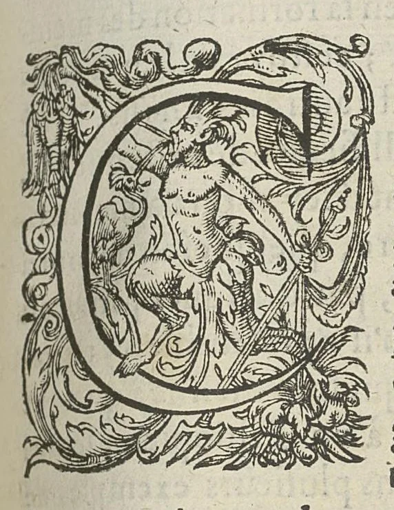 An illustration from Toutes les Oeuvres...trad. par Théophile Gelée, 1613, leaf 544
