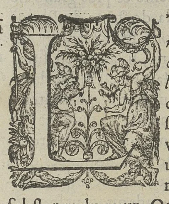 An illustration from Toutes les Oeuvres...trad. par Théophile Gelée, 1613, leaf 649