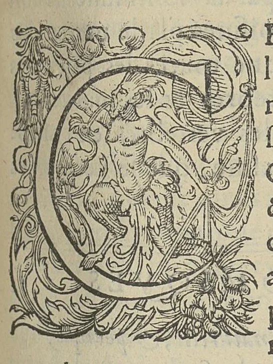 An illustration from Toutes les Oeuvres...trad. par Théophile Gelée, 1613, leaf 680