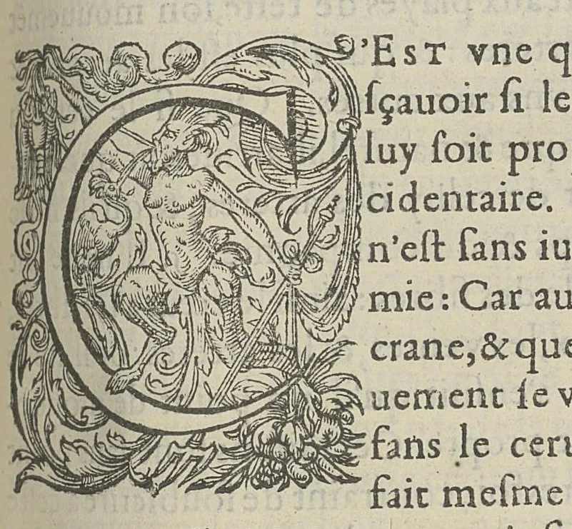 An illustration from Toutes les Oeuvres...trad. par Théophile Gelée, 1613, leaf 722