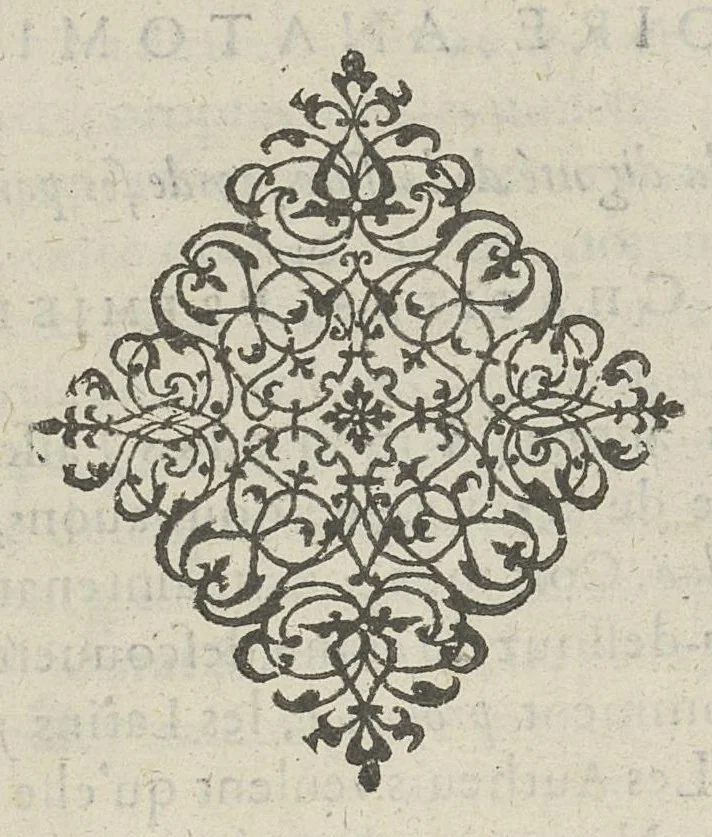 An illustration from Toutes les Oeuvres...trad. par Théophile Gelée, 1613, leaf 734