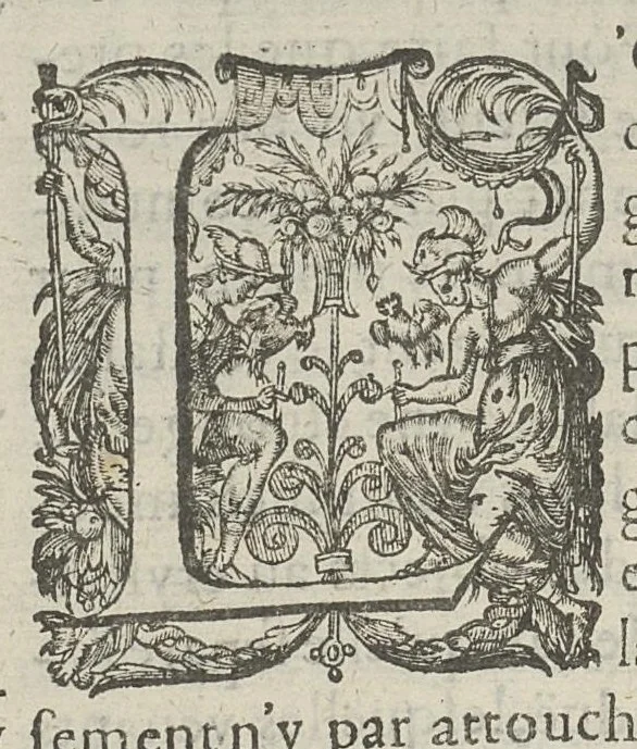 An illustration from Toutes les Oeuvres...trad. par Théophile Gelée, 1613, leaf 745