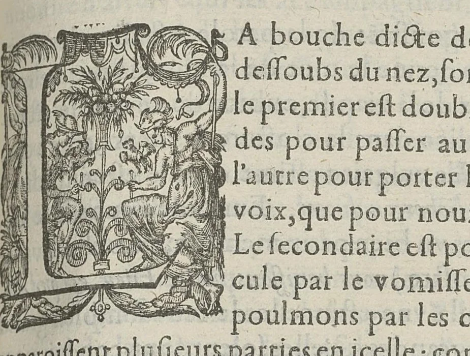 An illustration from Toutes les Oeuvres...trad. par Théophile Gelée, 1613, leaf 780