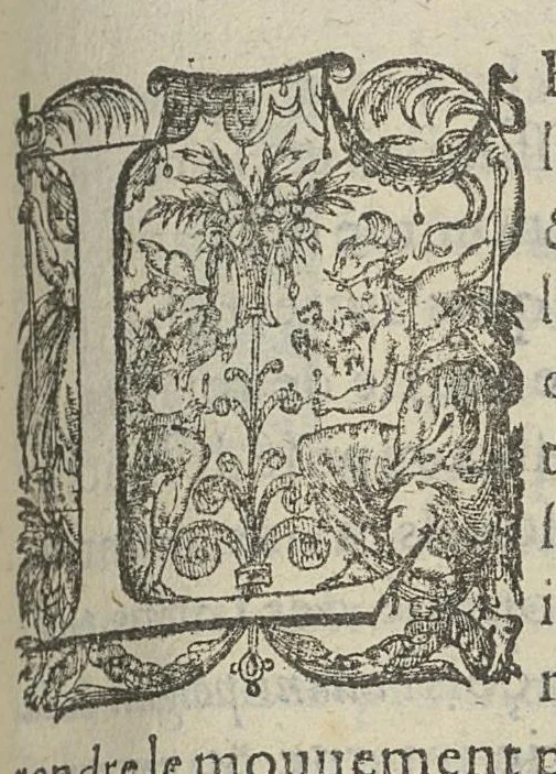 An illustration from Toutes les Oeuvres...trad. par Théophile Gelée, 1613, leaf 788