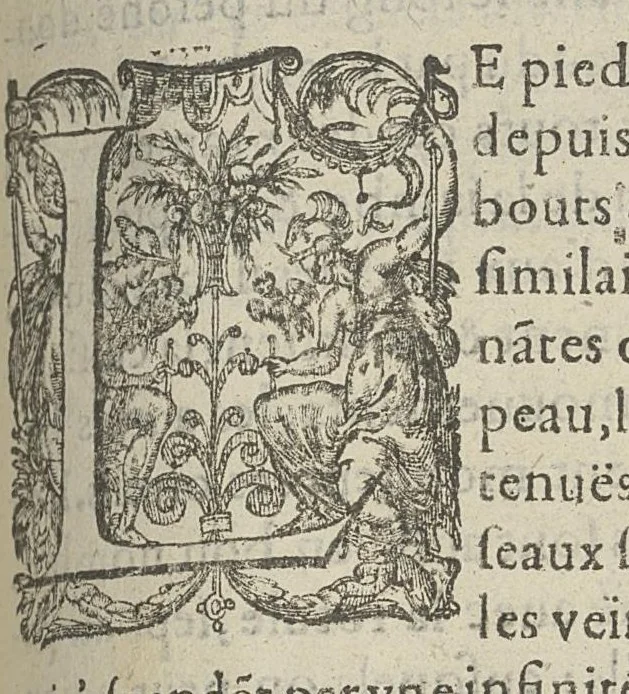 An illustration from Toutes les Oeuvres...trad. par Théophile Gelée, 1613, leaf 792