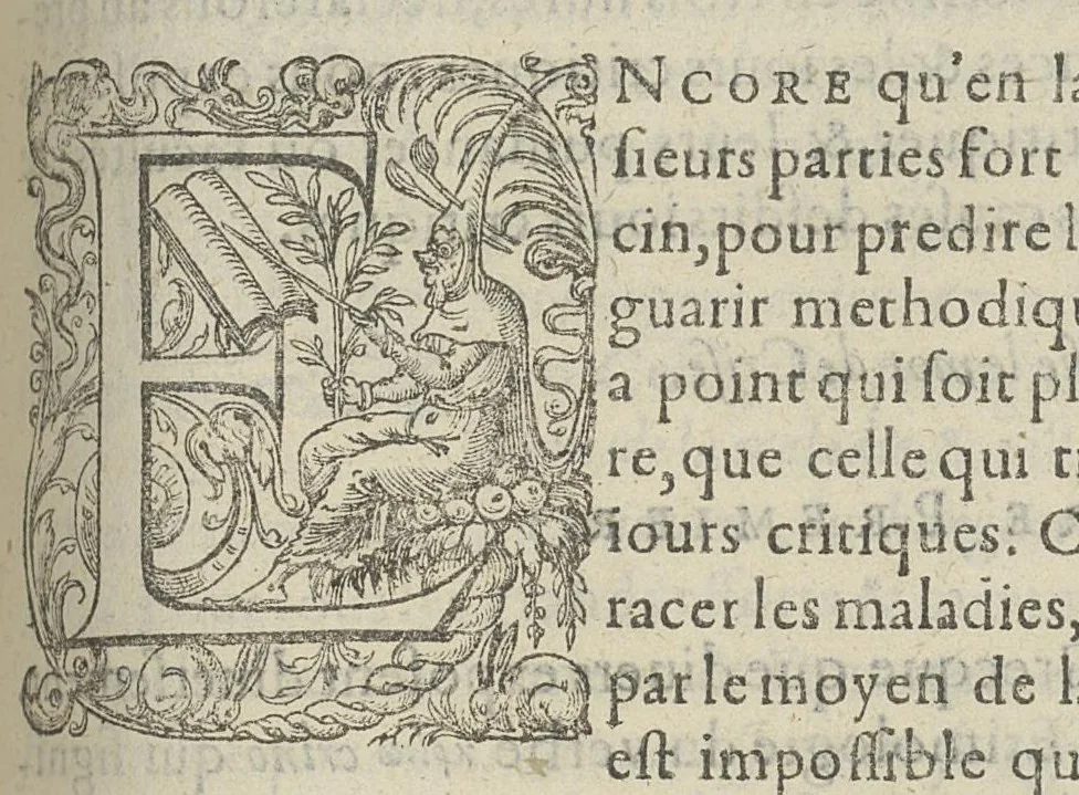 An illustration from Toutes les Oeuvres...trad. par Théophile Gelée, 1613, leaf 818