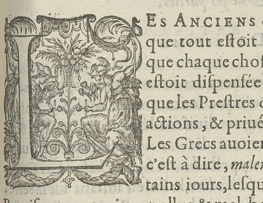An illustration from Toutes les Oeuvres...trad. par Théophile Gelée, 1613, leaf 854
