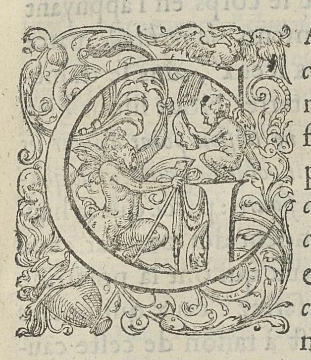 An illustration from Toutes les Oeuvres...trad. par Théophile Gelée, 1613, leaf 88