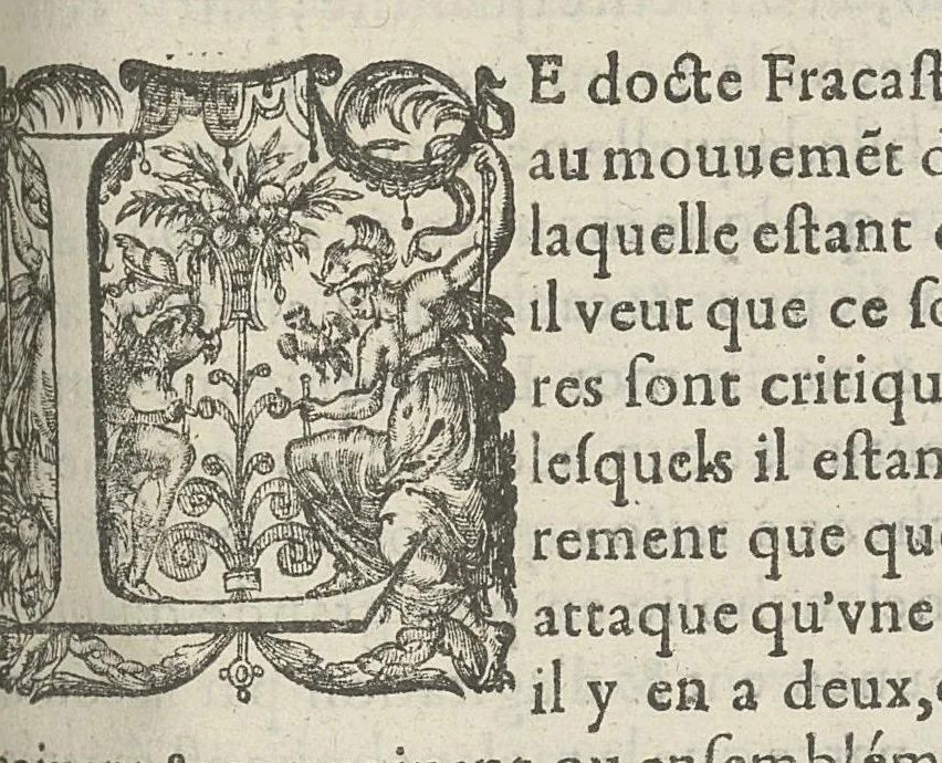 An illustration from Toutes les Oeuvres...trad. par Théophile Gelée, 1613, leaf 898