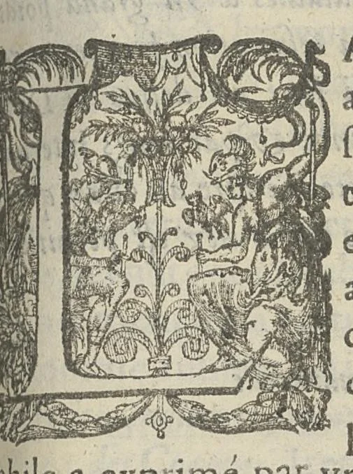 An illustration from Toutes les Oeuvres...trad. par Théophile Gelée, 1613, leaf 918