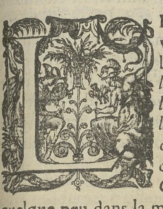 An illustration from Toutes les Oeuvres...trad. par Théophile Gelée, 1613, leaf 990