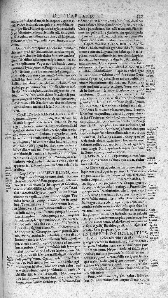 An illustration from Opera omnia medico-chemico-chirurgica... Editio novissima et emendatissima... Tomes I et II, 1658, leaf 570