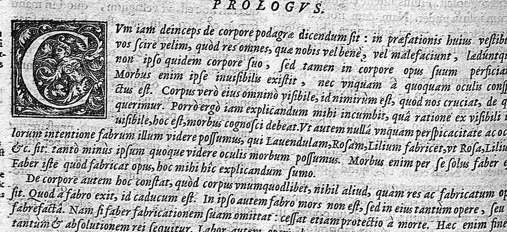 An illustration from Opera omnia medico-chemico-chirurgica... Editio novissima et emendatissima... Tomes I et II, 1658, leaf 673