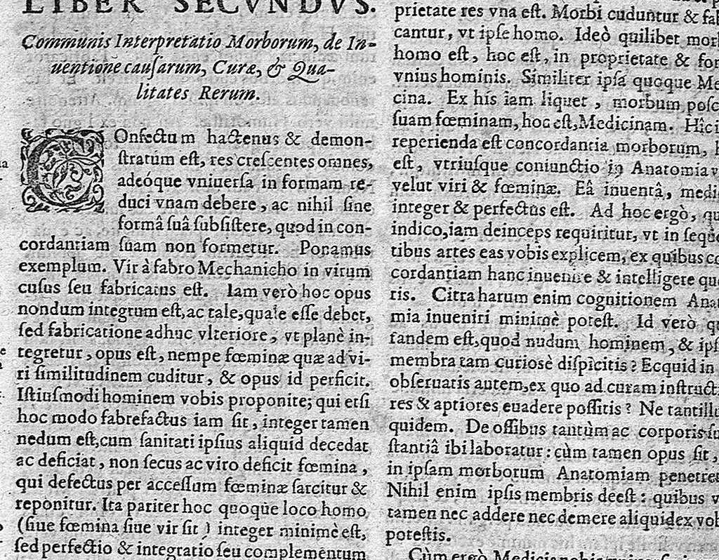 An illustration from Opera omnia medico-chemico-chirurgica... Editio novissima et emendatissima... Tomes I et II, 1658, leaf 687