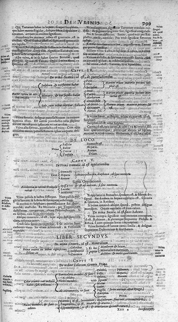 An illustration from Opera omnia medico-chemico-chirurgica... Editio novissima et emendatissima... Tomes I et II, 1658, leaf 832