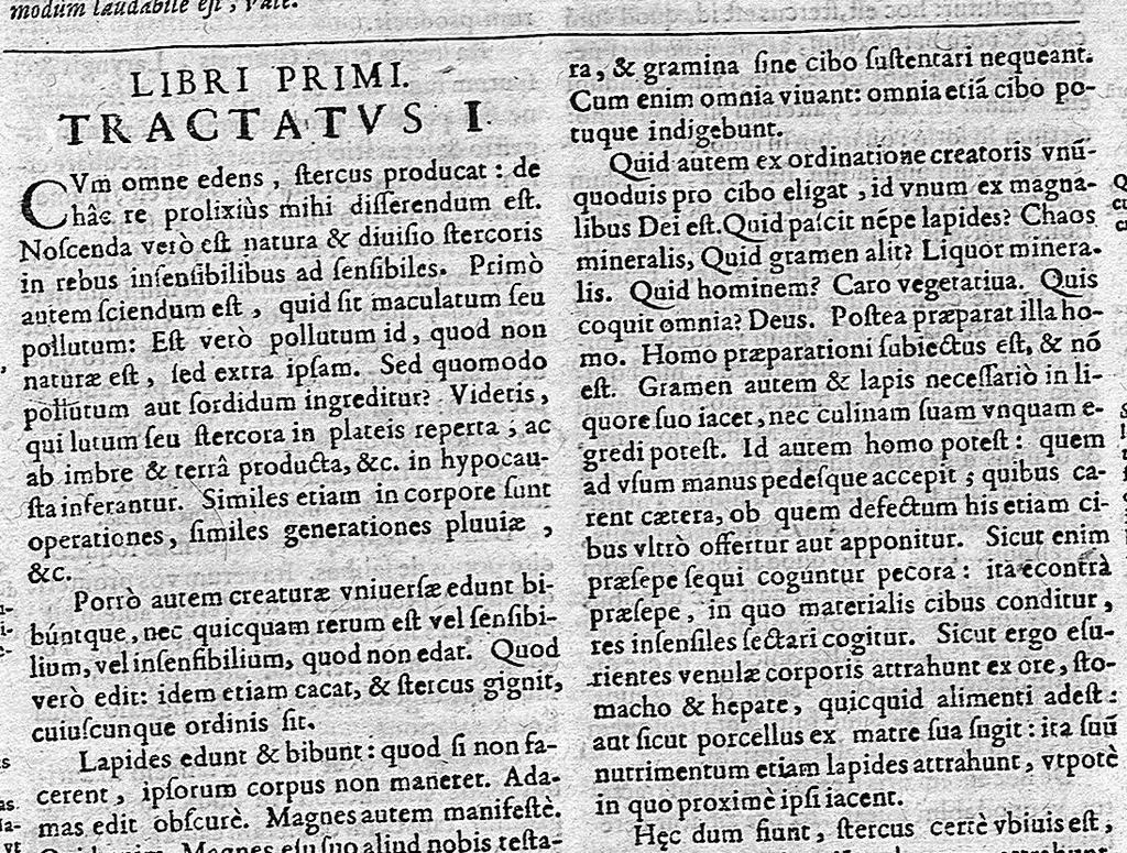 An illustration from Opera omnia medico-chemico-chirurgica... Editio novissima et emendatissima... Tomes I et II, 1658, leaf 852