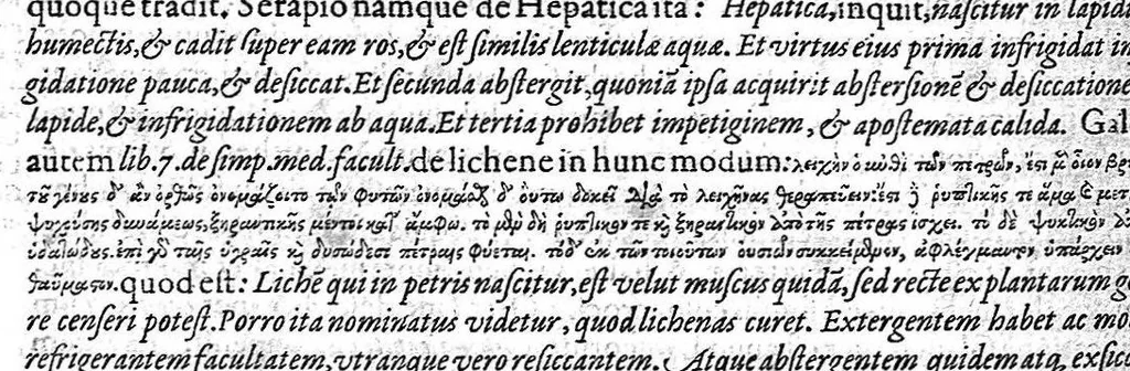 An illustration from Opera didactica, 1604, leaf 1195