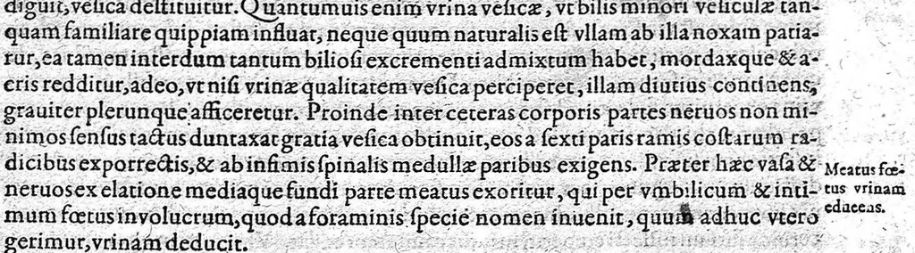 An illustration from Opera didactica, 1604, leaf 464