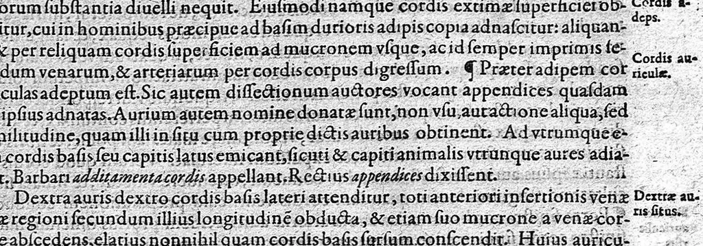 An illustration from Opera didactica, 1604, leaf 492