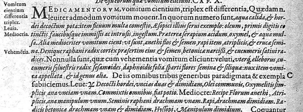 An illustration from Opera didactica, 1604, leaf 819