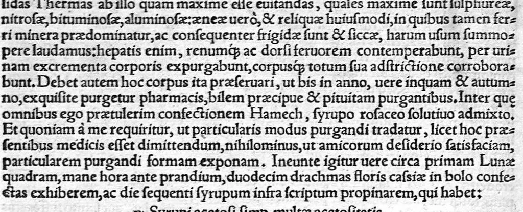 An illustration from Ioannis Baptistae Montani veronensis. Medici per universam europam celeberrimi, et in clarissima patavina Academiea summa cum laude publici olim ac ordinarij professoris consilia medica omnia, quae ullibi extant, 1559, leaf 112