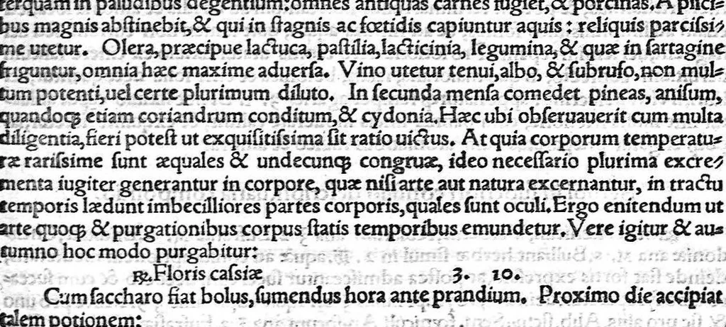 An illustration from Ioannis Baptistae Montani veronensis. Medici per universam europam celeberrimi, et in clarissima patavina Academiea summa cum laude publici olim ac ordinarij professoris consilia medica omnia, quae ullibi extant, 1559, leaf 147