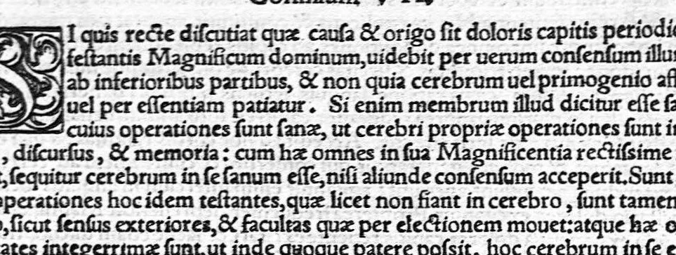 An illustration from Ioannis Baptistae Montani veronensis. Medici per universam europam celeberrimi, et in clarissima patavina Academiea summa cum laude publici olim ac ordinarij professoris consilia medica omnia, quae ullibi extant, 1559, leaf 33