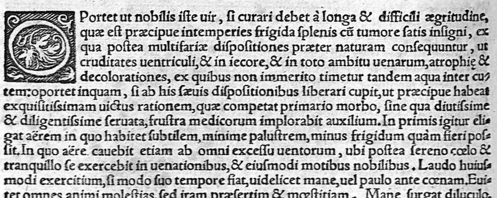 An illustration from Ioannis Baptistae Montani veronensis. Medici per universam europam celeberrimi, et in clarissima patavina Academiea summa cum laude publici olim ac ordinarij professoris consilia medica omnia, quae ullibi extant, 1559, leaf 388