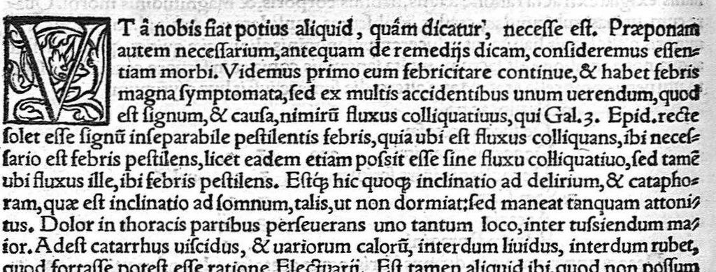 An illustration from Ioannis Baptistae Montani veronensis. Medici et publici in Academia patavina olim professoris. De febribus consilia omnia, 1559, leaf 62