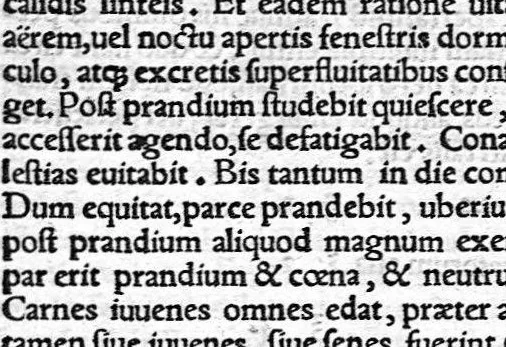 An illustration from Ioannis Baptistae Montani Veronensis, Medici et publici in Academia patavina olim professoris. Chirurgica consilia, 1559, leaf 13
