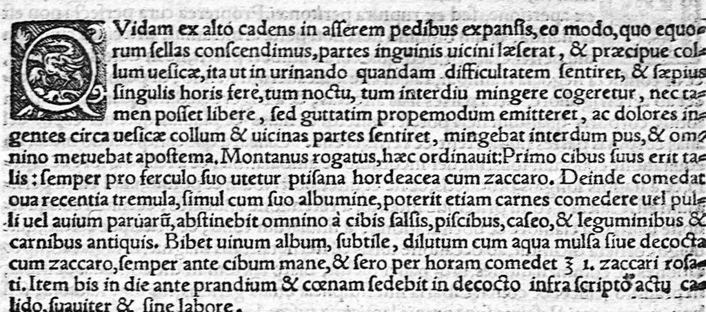An illustration from Ioannis Baptistae Montani Veronensis, Medici et publici in Academia patavina olim professoris. Chirurgica consilia, 1559, leaf 29