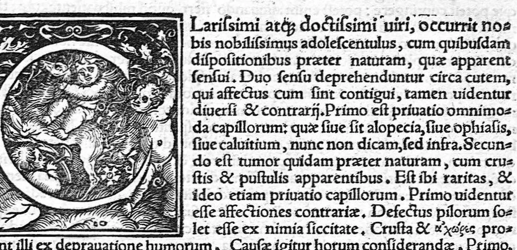 An illustration from Ioannis Baptistae Montani Veronensis, Medici et publici in Academia patavina olim professoris. Chirurgica consilia, 1559, leaf 3
