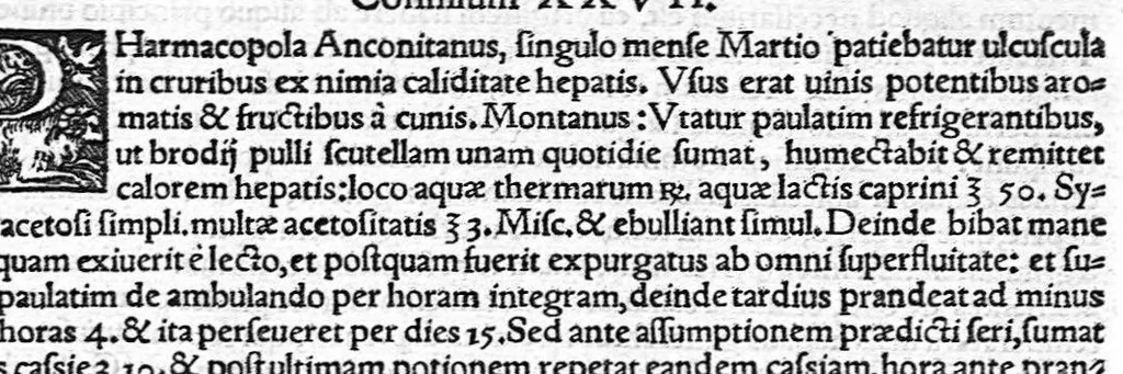 An illustration from Ioannis Baptistae Montani Veronensis, Medici et publici in Academia patavina olim professoris. Chirurgica consilia, 1559, leaf 39