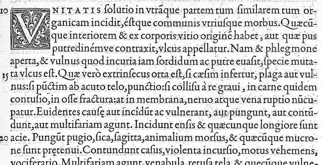 An illustration from Medicina, 1554, leaf 506