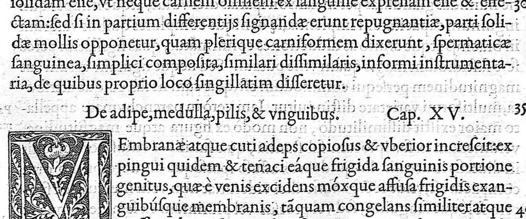 An illustration from Medicina, 1554, leaf 69