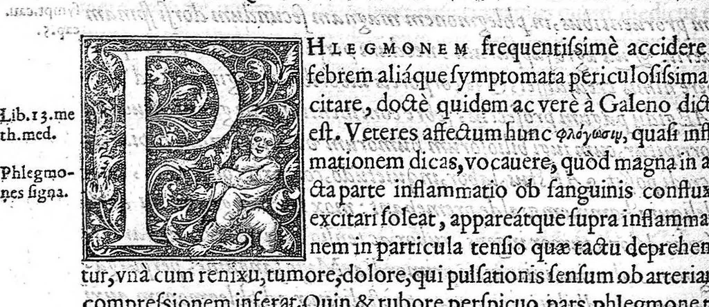 An illustration from Observationum medicinalium libri sex, 1573, leaf 223