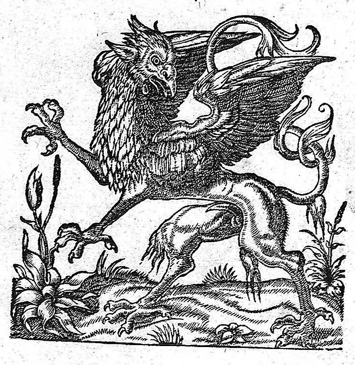 An illustration from Observationum medicinalium libri sex, 1573, leaf 307