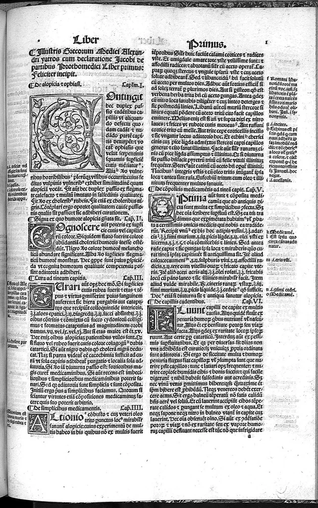 An illustration from Practica Alexandri yatros ... cum optimis declarationibus Jacobi de partibus et Simonis Januensis in margine condecenter situatis..., 1522, leaf 8