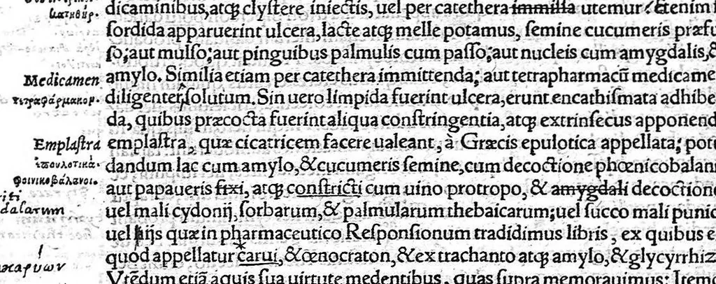 An illustration from Caelii Aureliani siccensis tardarum passionum libri V / Oribasii euporiston libri III, medicinae compendium liber I, curationum liber I, trochiscorum confect liber I, 1529, leaf 167