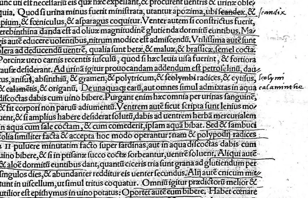 An illustration from Caelii Aureliani siccensis tardarum passionum libri V / Oribasii euporiston libri III, medicinae compendium liber I, curationum liber I, trochiscorum confect liber I, 1529, leaf 174