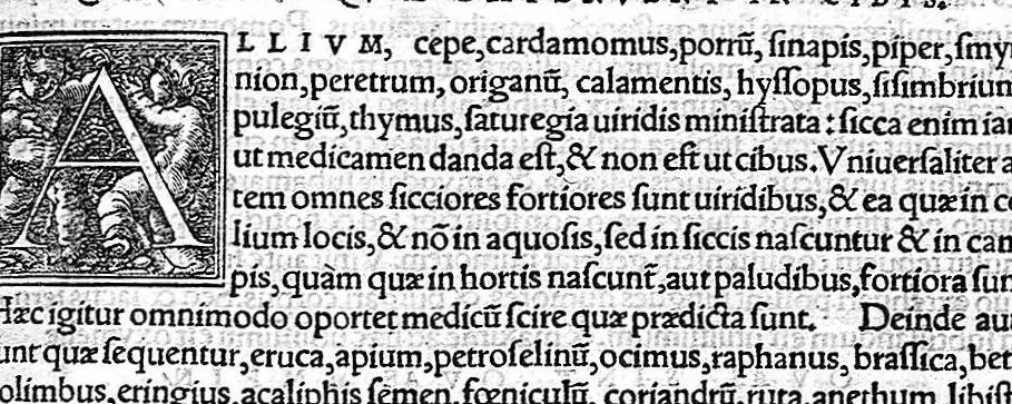 An illustration from Caelii Aureliani siccensis tardarum passionum libri V / Oribasii euporiston libri III, medicinae compendium liber I, curationum liber I, trochiscorum confect liber I, 1529, leaf 194