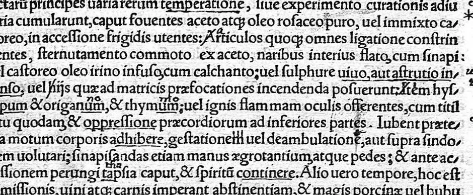An illustration from Caelii Aureliani siccensis tardarum passionum libri V / Oribasii euporiston libri III, medicinae compendium liber I, curationum liber I, trochiscorum confect liber I, 1529, leaf 294